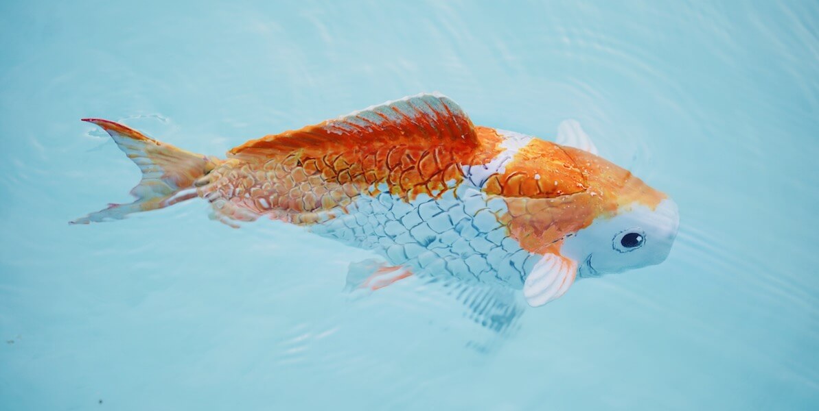 A robotic goldfish