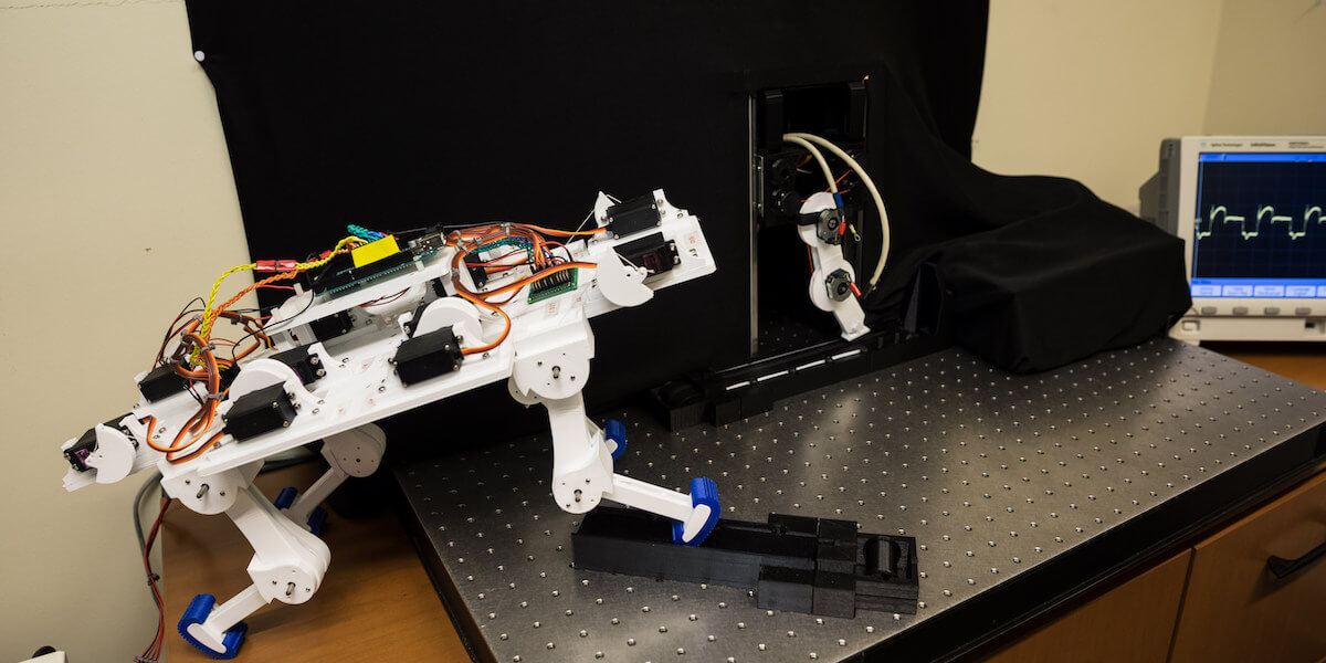 A newborn robot takes its first steps.