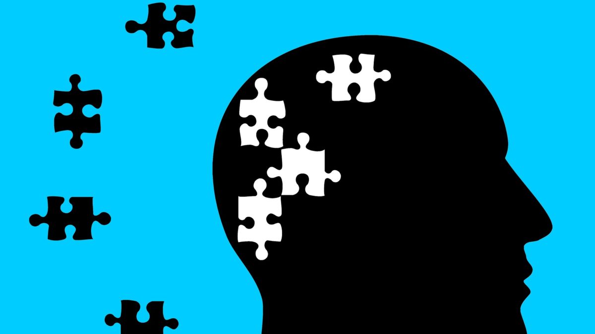 The brain as a puzzle.