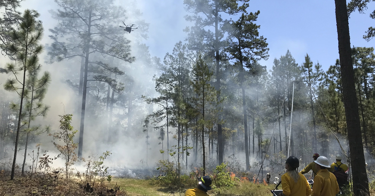 wildfire