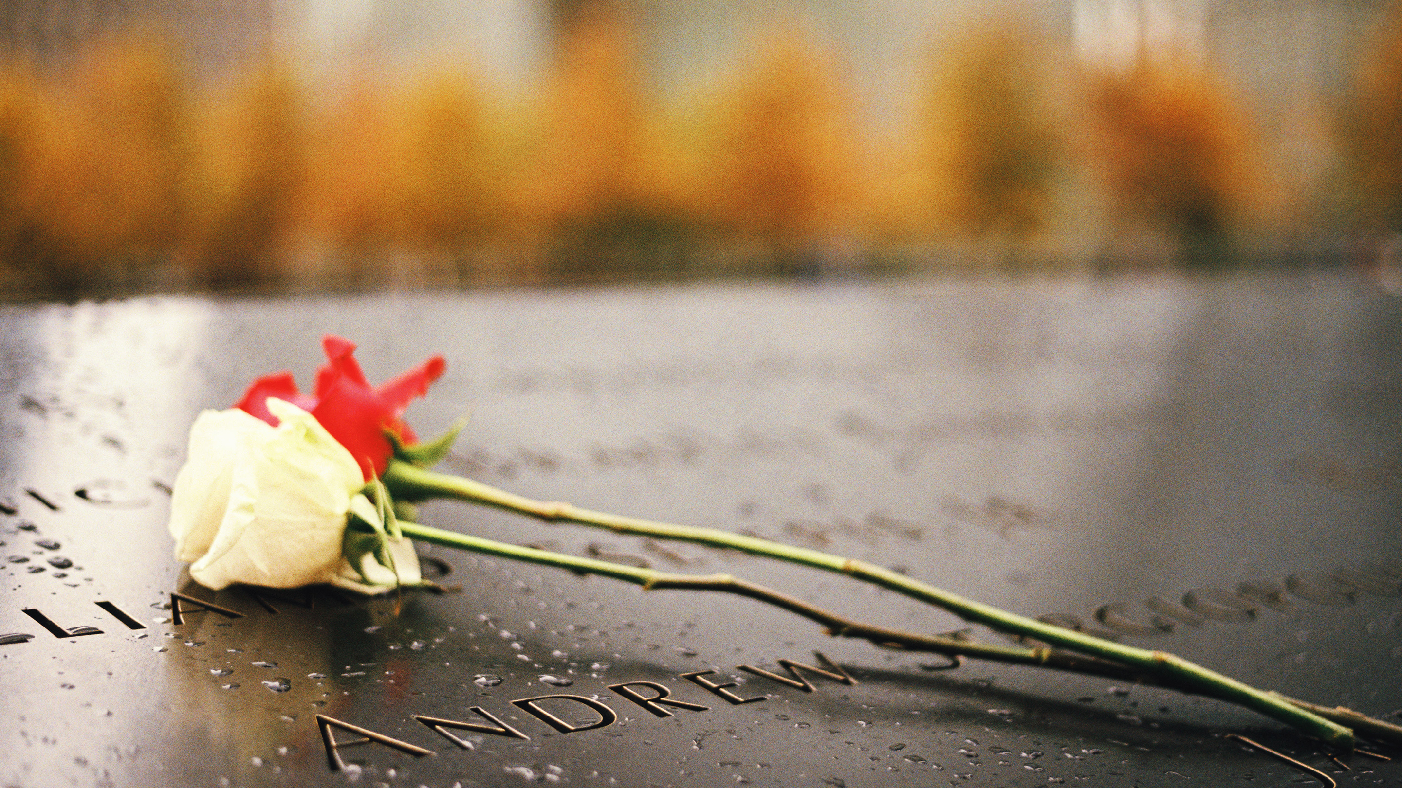 Flowers over grave