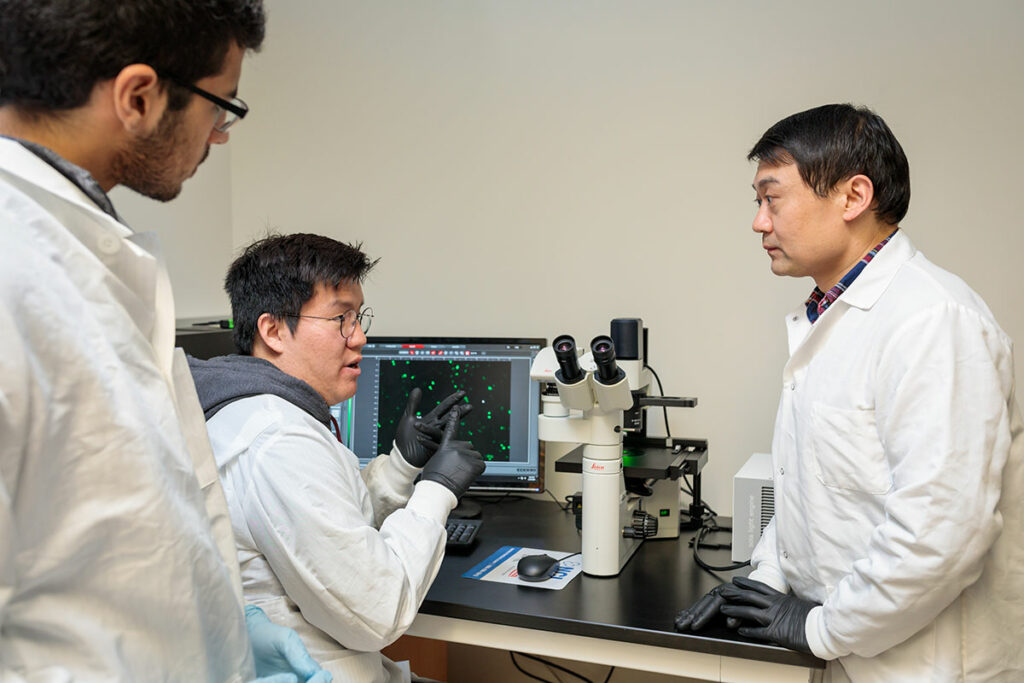 Researchers inspect jumping gene.