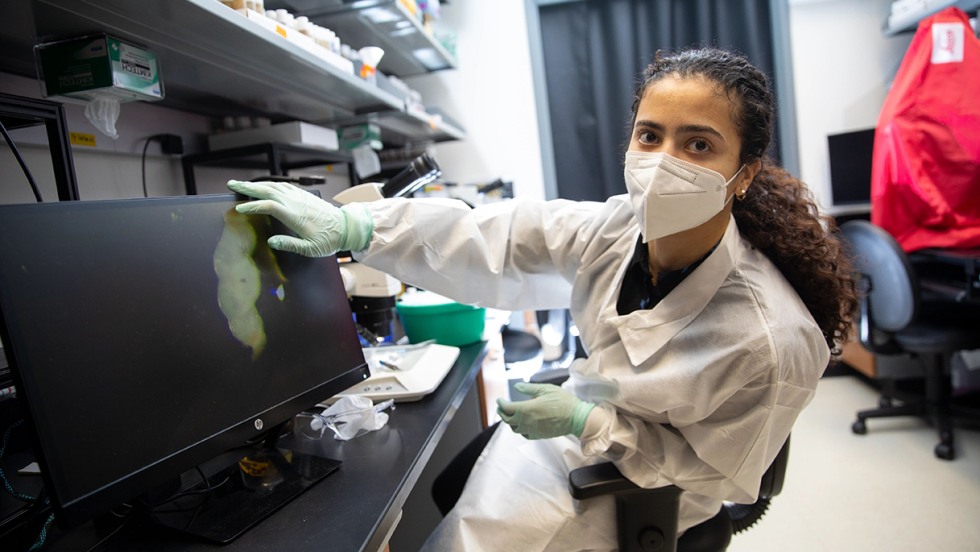 Eve Glenn, researching substance use disorders