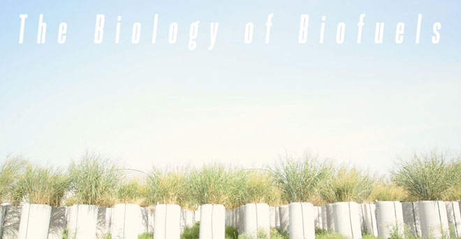 The Biology of Biofuels