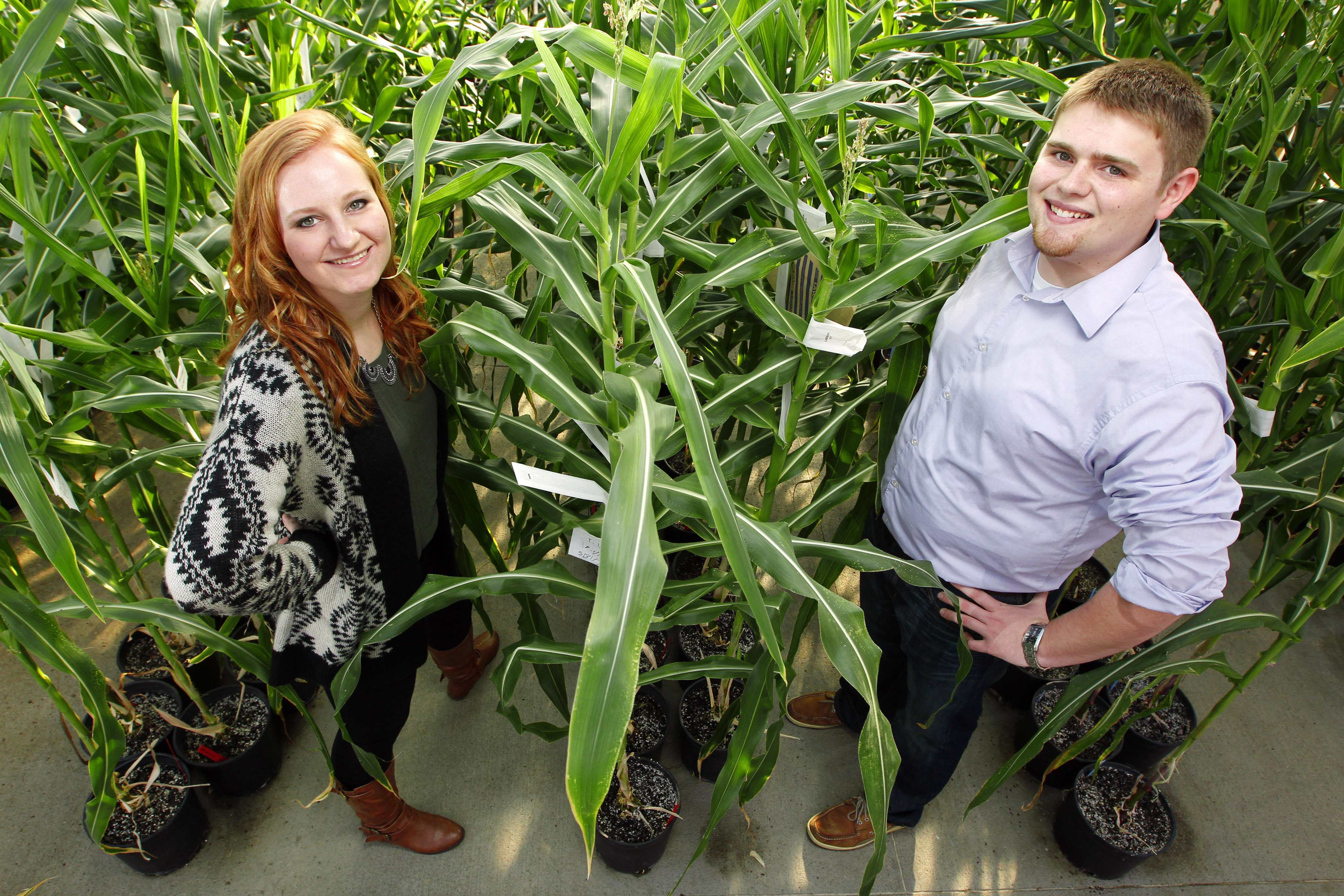Iowa State students Olivia Reicks and Trey Forsyth in corn field