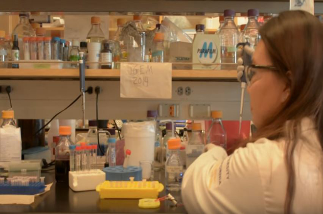 Students study the chemical profile of olive oil