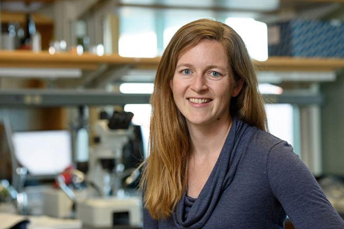 Introductory Freshman Seminar Publishes Paper on Zika