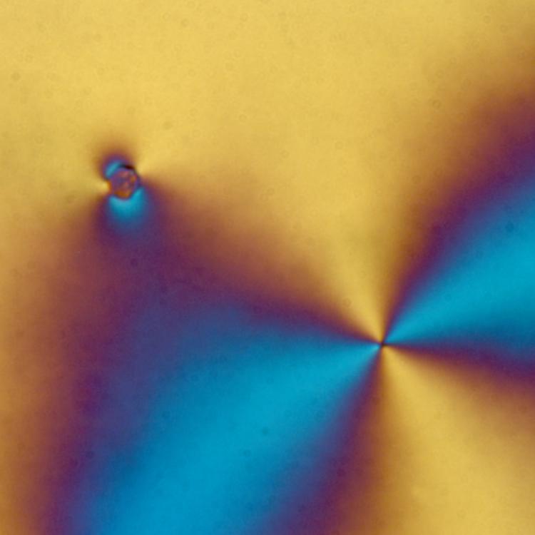 cub-atom2.jpg