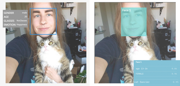 Two facial analysis systems identified the gender of researcher Morgan Klaus Scheuerman, who is a man, differently.