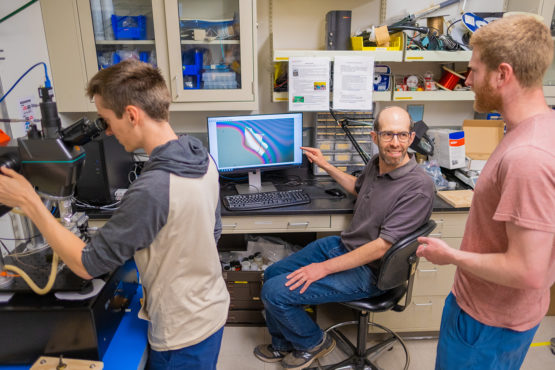 Stanford Researchers in their lab.
