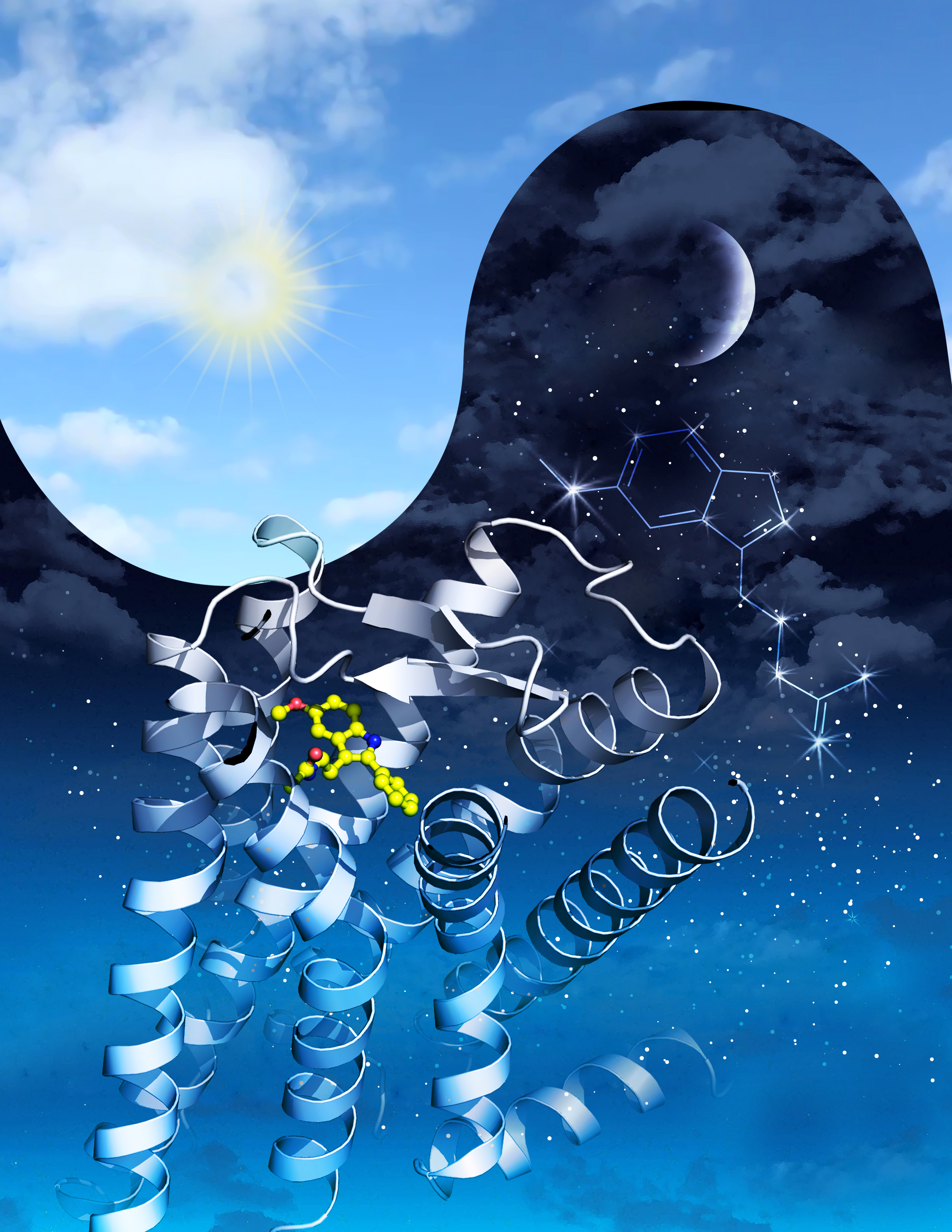 stanford-melatonin.jpg