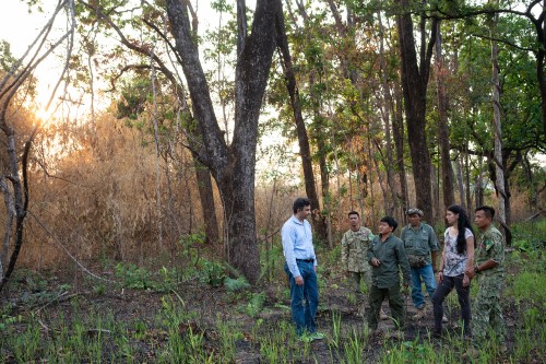 scientists in a forest.