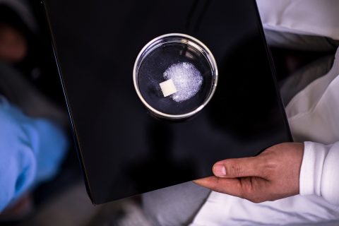 usc-dentist3.jpg