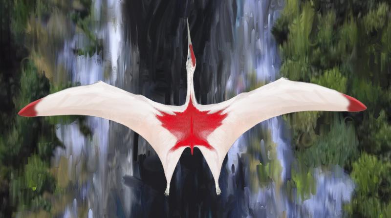 Artist's illustration of pterosaur
