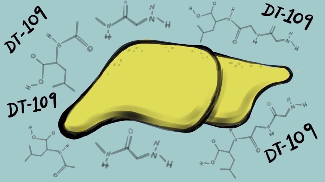 Potential drug treats fatty liver disease in animal models, brings hope for first human treatment; drawing of a liver
