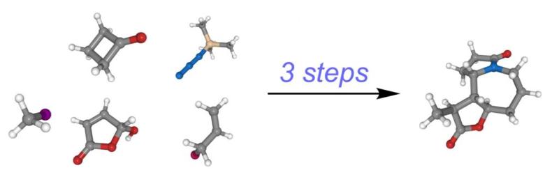 " University of Michigan Discovery Dramatically Reduces Time to Build Molecules"