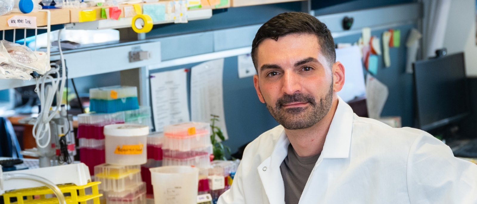 Engineered Bacteria Find Tumors, then Alert the Authorities