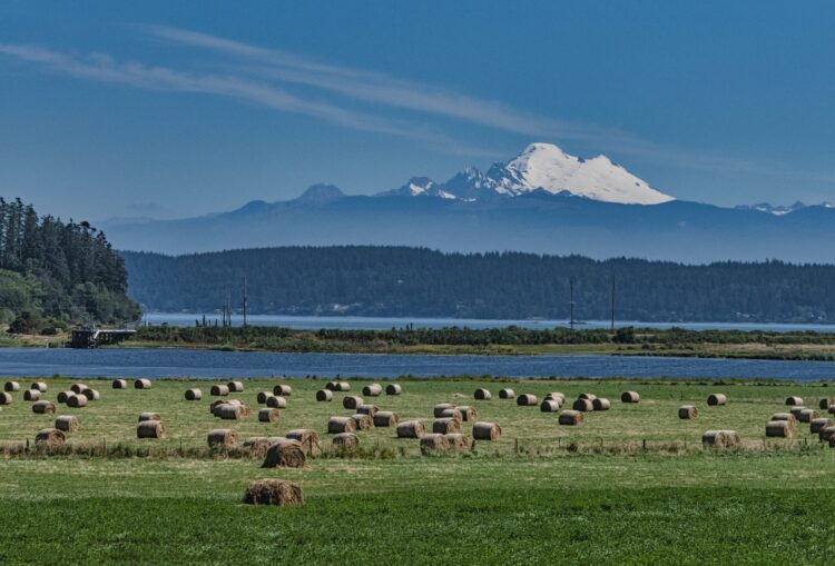 Community-based Prevention System Linked to Reduced Handgun Carrying Among Youth Growing Up in Rural Areas; Photo of bundles of hay across a field with a mountain range in the background