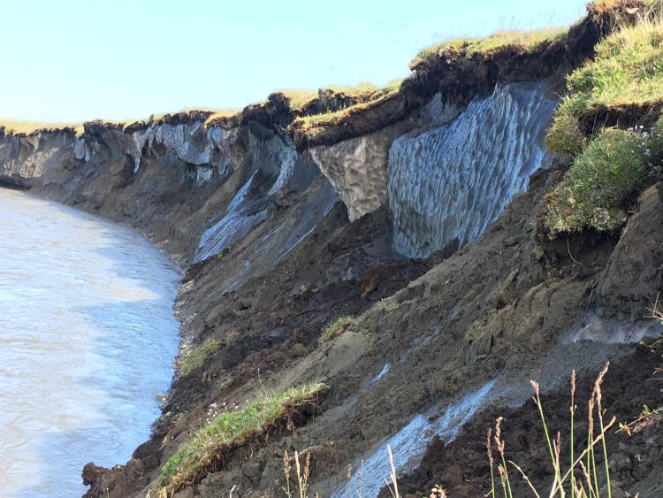 "As rising temperatures affect Alaskan rivers, effects ripple through Indigenous communities; Ice-rich permafrost bluffs on the bank of the Canning River, Alaska. (Credit: Josh Koch)"