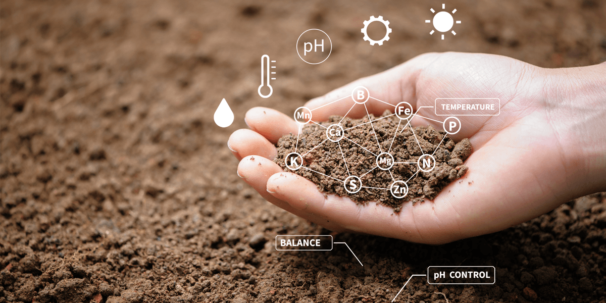 Is This the Future of Farming?; In a new paper, Barath Raghavan and his colleagues propose “a totally new way to think about agriculture and the benefits it can have for research and farming” using computational tools. Photo/Istock