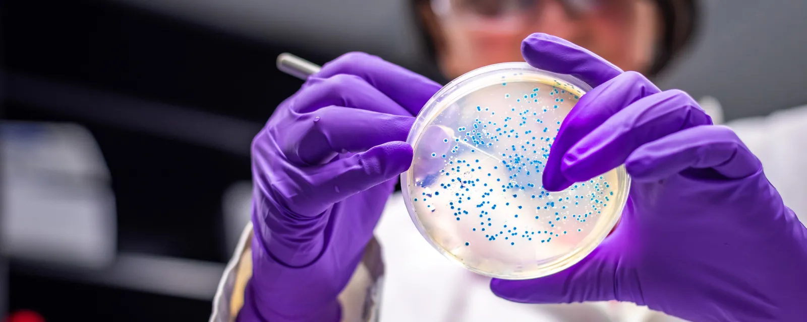Lab researcher with a petri dish.
