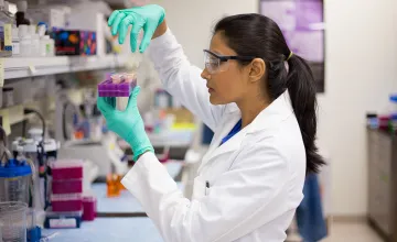 researcher 