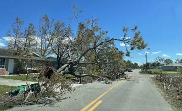 Study Shows Little Improvement in Mandated Disaster Plans Despite Required Updates