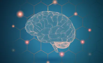 Treating Diseases by Eliminating Protein Aggregation in the Brain, Pancreas