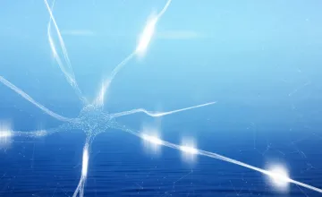 New Cause of Neuron Death in Alzheimer's Discovered