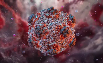 Hantavirus 3D viral structure