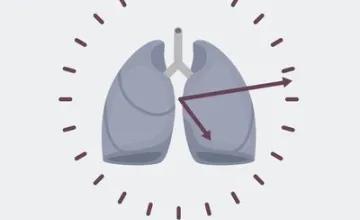 Uncovering How the Biological Clock Impacts Lung Health; digital illustration of a clock with a pair of lungs in the center