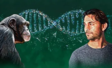 ‘Deletions’ from the human genome may be what made us human; Digital Illustration of a Man & chip connected by a DNA strand