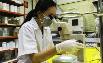 Female scientist viewing sample with a microscope in a laboratory