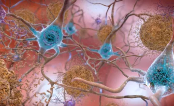 tangled protein
