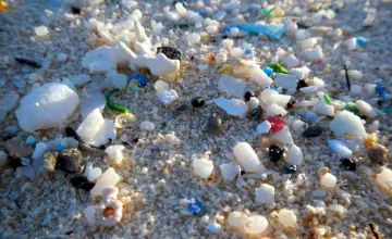 microplastic