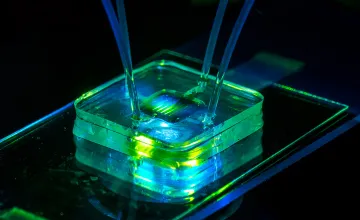 testing a COVID-19 sample