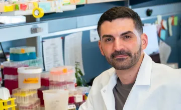 Engineered Bacteria Find Tumors, then Alert the Authorities