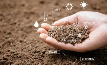Is This the Future of Farming?; In a new paper, Barath Raghavan and his colleagues propose “a totally new way to think about agriculture and the benefits it can have for research and farming” using computational tools. Photo/Istock