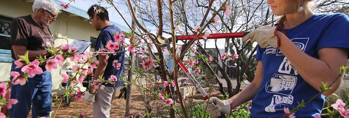 Student working in community garden