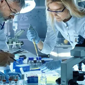 Scientists working in lab