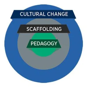 AAU STEM Frameworks
