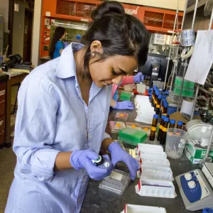 Student Conducting Research 