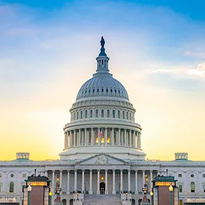 U.S. Capitol