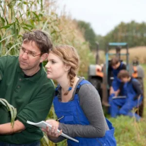 Group of students looking at crops