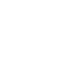University of South Florida White Logo