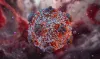 Hantavirus 3D viral structure