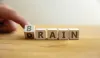 wooden blocks reading "brain drain"