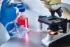 cancer research