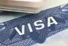 A U.S. Visa A VISA for keeping STEM Talent
