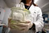 Tulane University Researcher